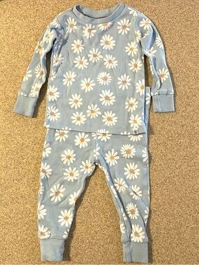 Honest Baby Light Blue Daisy Print Pajama Set